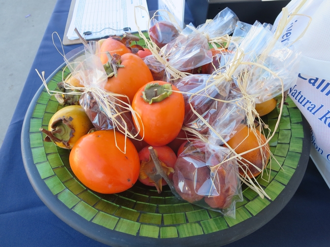 Hachiya Persimmons with Hoshigaki - Hoshigaki are persimmons that are peeled and dried whole over a period of several weeks through a combination of hanging and delicate hand-massaging, until the sugars contained in the fruit form a delicate surface with a dusting that looks like frost.