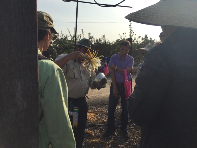 Dr. Ramiro Lobo shows onlookers how to gather pollen from the beautiful pitahaya flower.