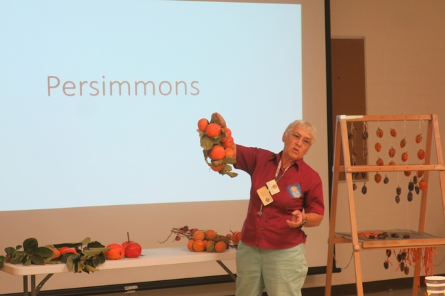 Persimmon cultural practices lecture.