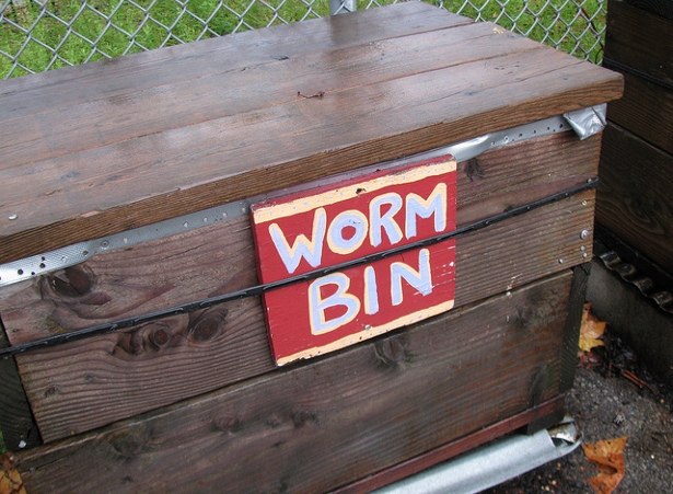 Worm-Bin