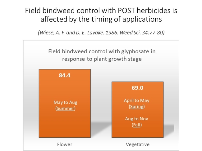 Glyphosate and bindweed control