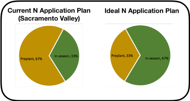 Standard and Ideal Nitrogen Use in Wheat Pie Chart