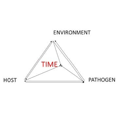 Figure 2 the disease triangle, a combination of host, environment, pathogen, and time are required for pathogens to be successful