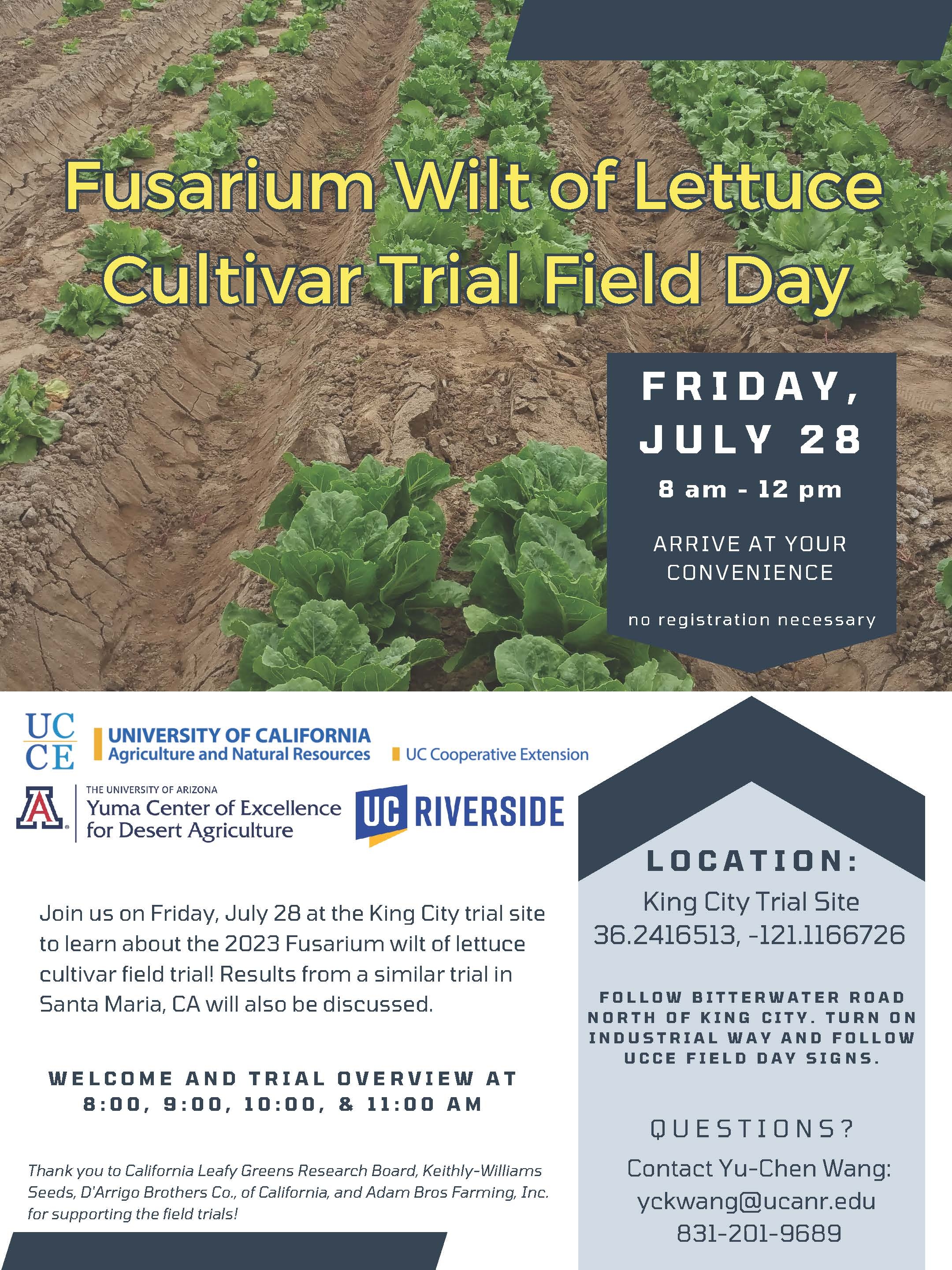 Fusarium wilt of lettuce cultivar trial field day - Salinas Valley  Agriculture - ANR Blogs