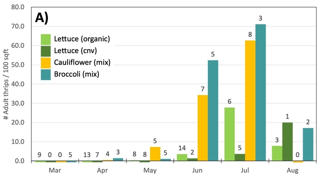 Figure 4A. Density of A) adult and B) larval western flower thrips collected from lettuce, broccoli, and cauliflower transplants from March 2023 through early August 2023. The number of samples is listed above each bar.