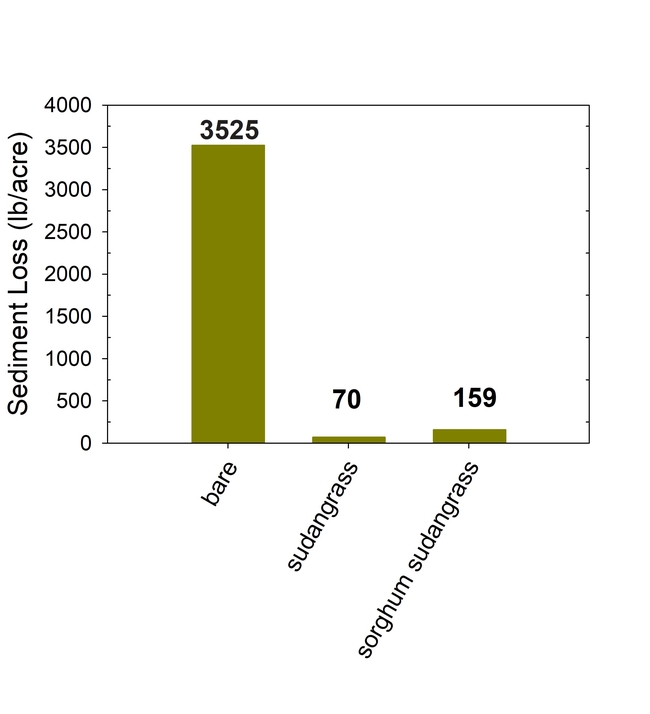 Figure 6.  Total sediment loss in cover crop and bare-fallow plots during the 2023-24 winter season.