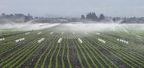 Fig. 1. Evaluating the uniformity of an irrigation system can determine if water is being applied efficiently for Salinas Valley Agriculture Blog