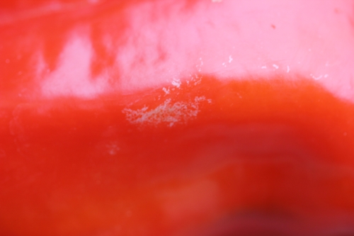 1. Silvering on pepper fruit