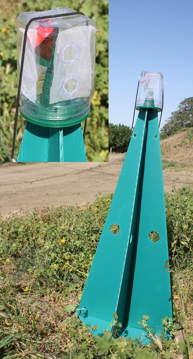 Fig. 5. Ground-deployed green-pyramid trap in the field