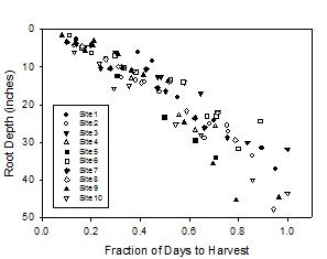 Figure 1. Depth of the deepest broccoli roots over the course of the crop cycle (0.0 = planting to 1.0 harvest)