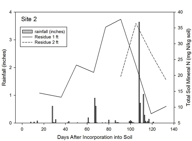 Figure 5. Response of levels of residual soil nitrate from broccoli residue to rainfall events
