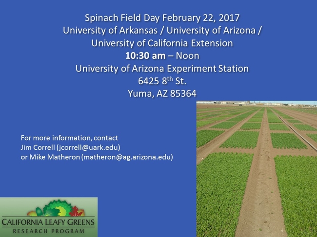 Spinach Field Day Yuma Feb 22 2017 Revised