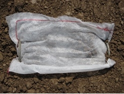 Organic fertilizer pouch on soil surface