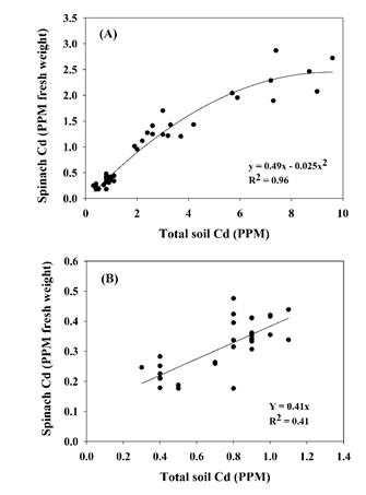 Fig. 1.  Relationship between total soil Cd and Cd concentration in fresh spinach; data from a survey of Salinas Valley fields.