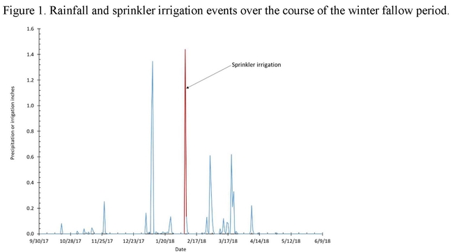 Figure 1. Rainfall and sprinkler irrigation events over the course of the winter fallow period.