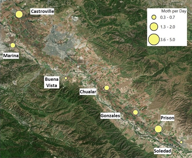 Seven day cumulative capture of diamondback male moths across the Salinas Valley. This map shows captures collected on March 19th, 2019.