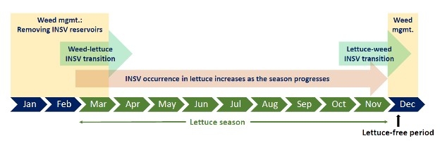 Figure 1. Yearly cycle of INSV in the Salinas Valley