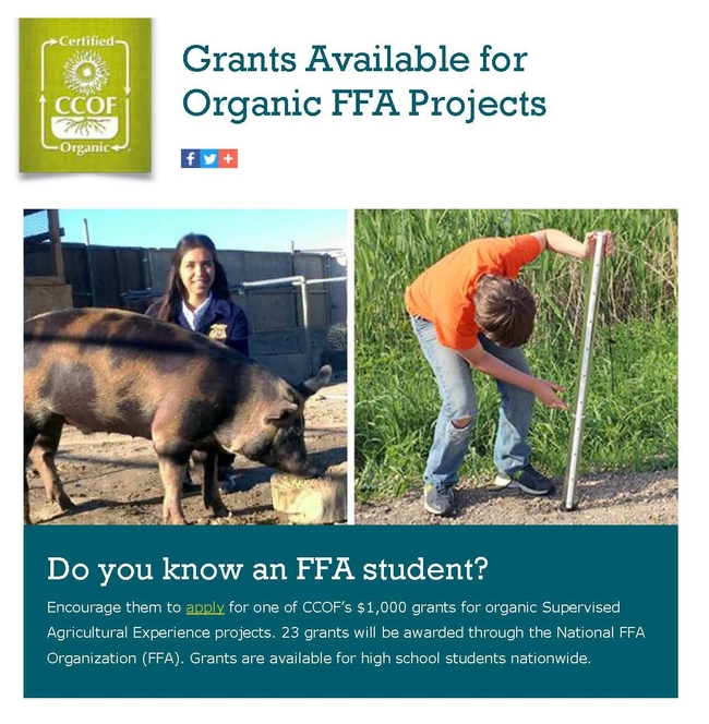 Grants Available for Organic FFA Projects Page 1