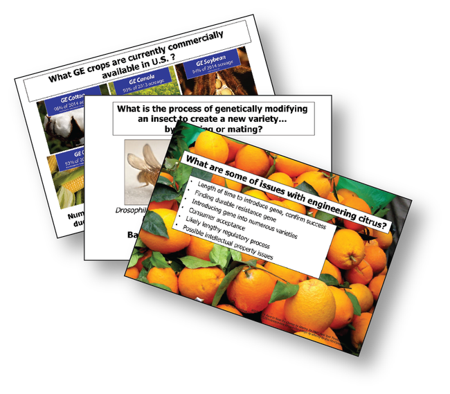 Examples of PowerPoint slides