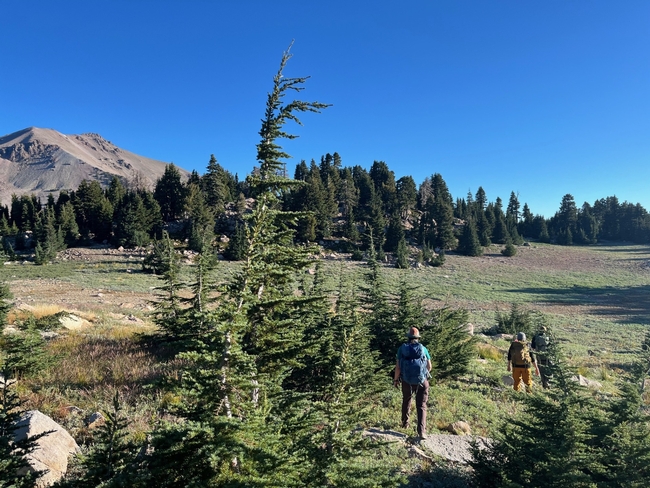 Members of the Klamath Inventory and Monitoring Network hike to a research plot beneath Lassen Peak. Photo C. Jordan