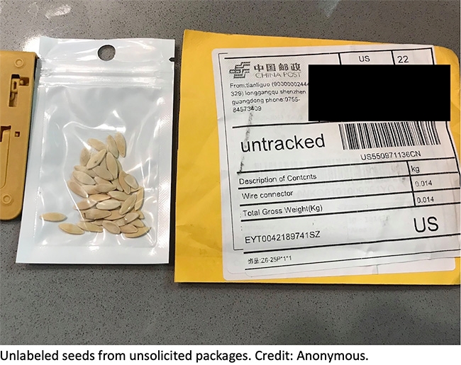 Unrequested package of seeds in a plastic bag next to the mailing envelope the seeds were delivered in. Credit Anonymous.