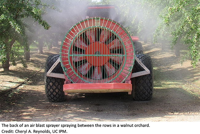 Back of air blast sprayer shown spraying between the rows of a walnut orchard.
