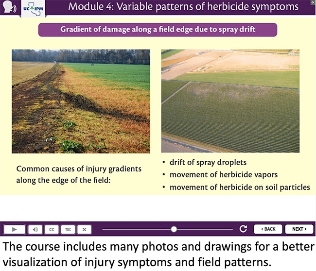 Screen from the course, Module 4, Variable Patterns of Herbicide Symptoms. Screen depicts gradients of damage along a field edge due to spray drift. Text on screen: Common causes of injury gradients along the edge of the field: drift of spray droplets, movement of herbicide vapors, movement of herbicide on soil particles. Two images depict crop injury (discoloration) at the edge of the field.