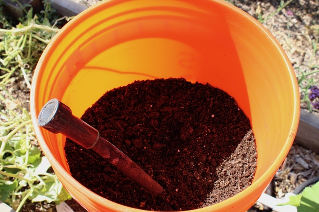 Step 5 in making a bucket planter