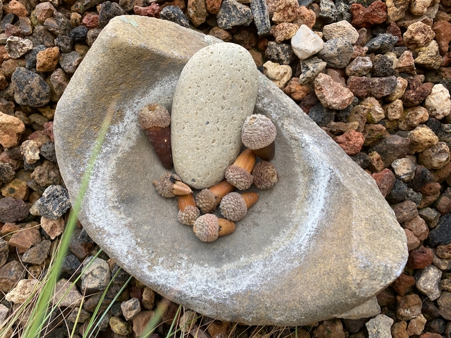 Mortar and pestle for grinding acorns.