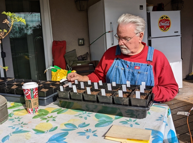 Man wearing overalls sitting at table planting seeds into containers filled with soil.