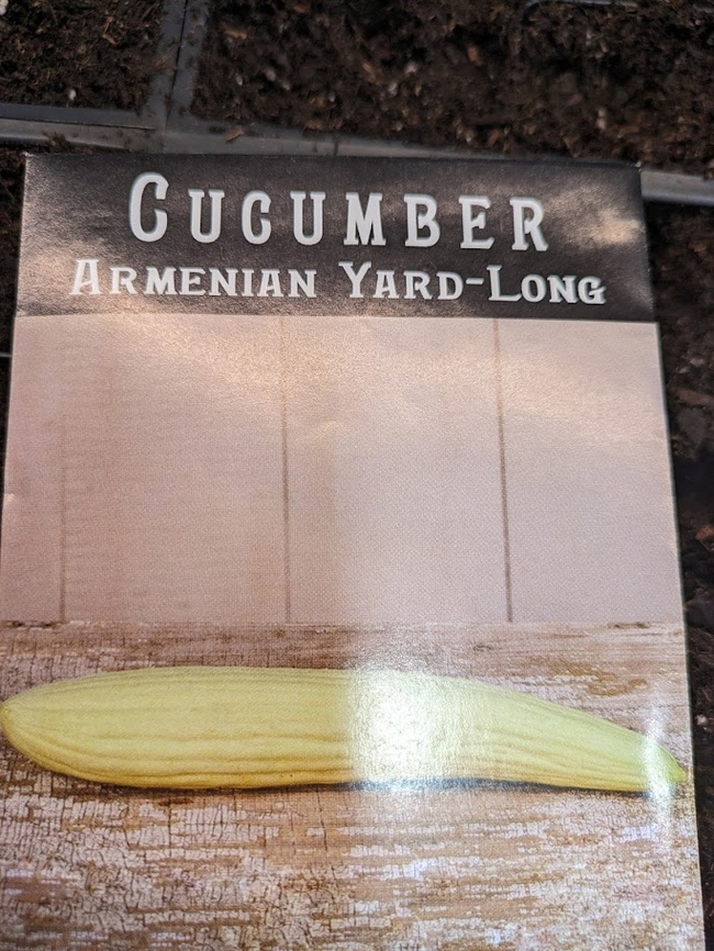 cucumber seed packet T Long