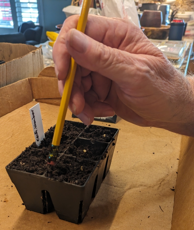 Poking holes for seeds