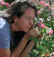 Woman inspects roses with a hand lens.