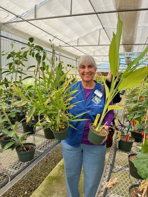 Smiling woman standing inside greenhouse holding two plants.