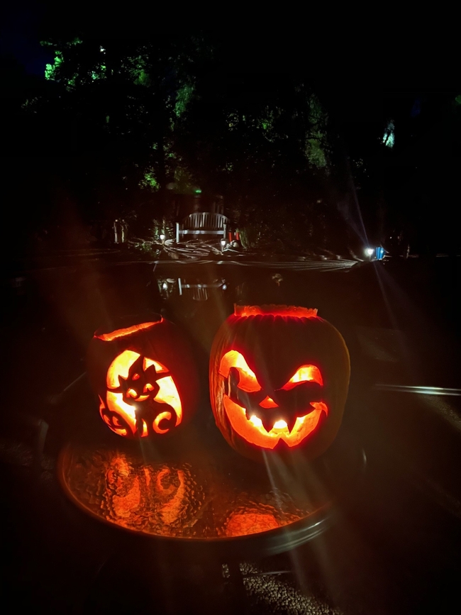 Two carved pumpkins, one with a cat face and the other with