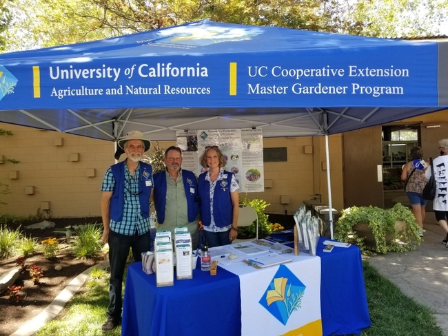 Three volunteers under a blue tent smiling.