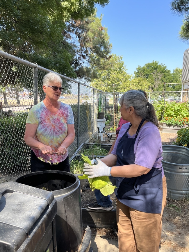 Two women standing near a black bin holding green materials.