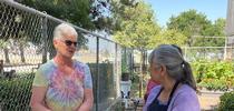 Adding materials to a compost pile, Anne Schellman. for The Stanislaus Sprout Blog