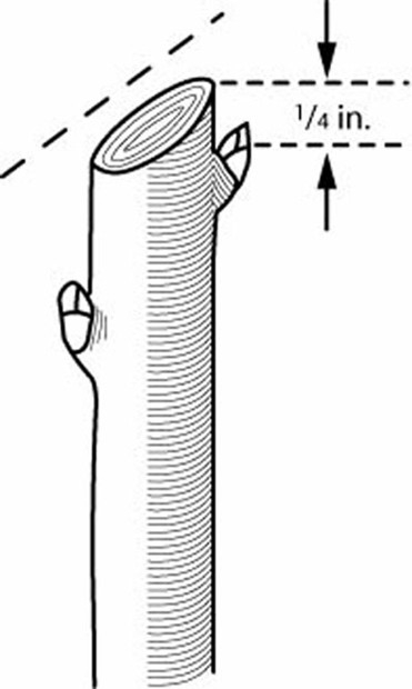 Make clean cuts (within ¼