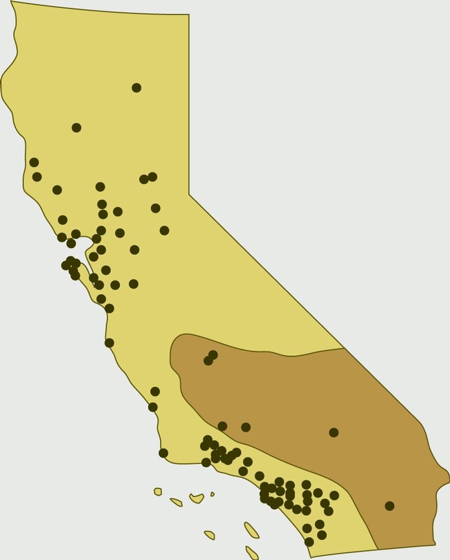 Misdiagnoses of brown recluse spider bites (represented by dots) in California, compared to the known distribution (shaded area) of the native desert recluse. Some dots represent a city with more than on diagnosis.