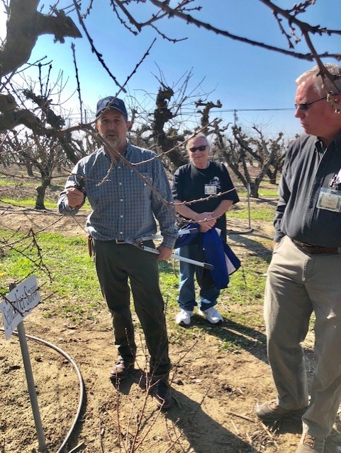Learning about pruning fruit trees.