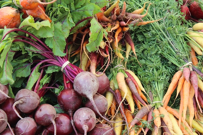 Root vegetables. (Pixabay.com)