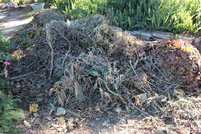 A pile of branches and leaves in a yard.