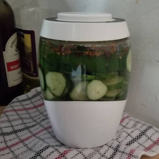 A container of cucumbers fermenting into pickles.