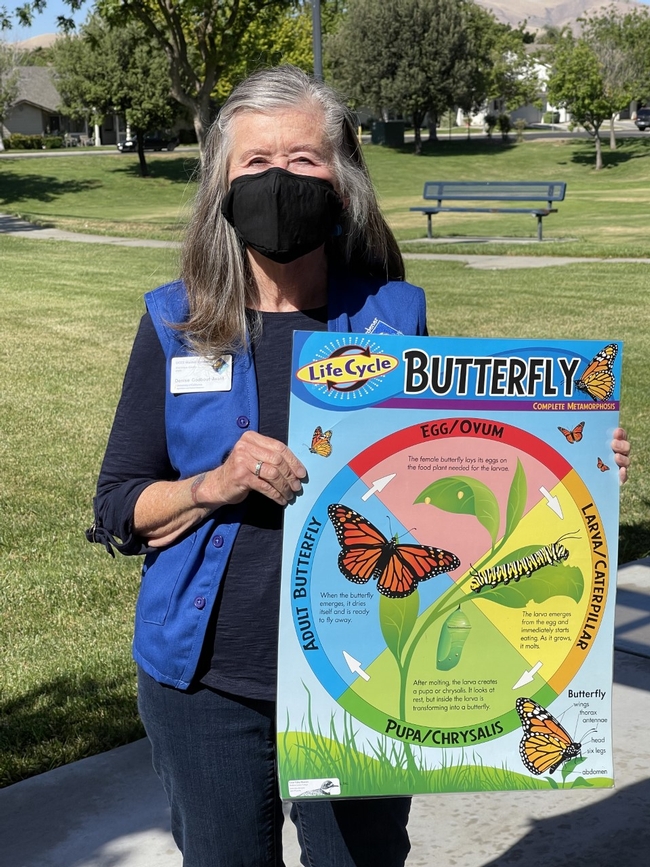 Master Gardener Denise holds up a diagram of the monarch butterfly lifecycle.
