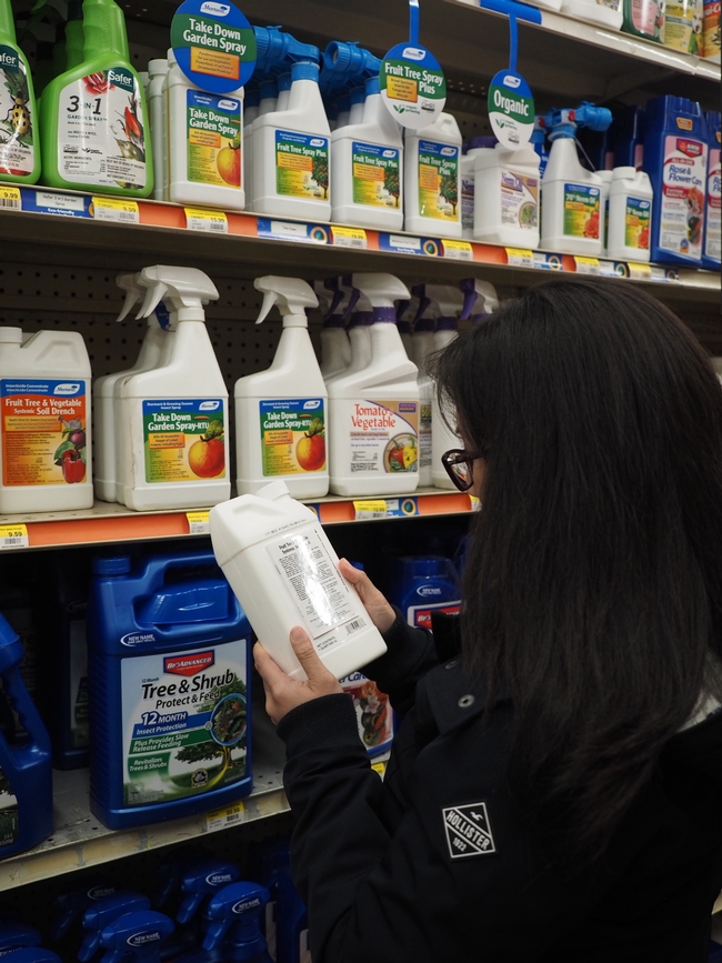 Woman reading a label in the pesticide aisle of a store.
