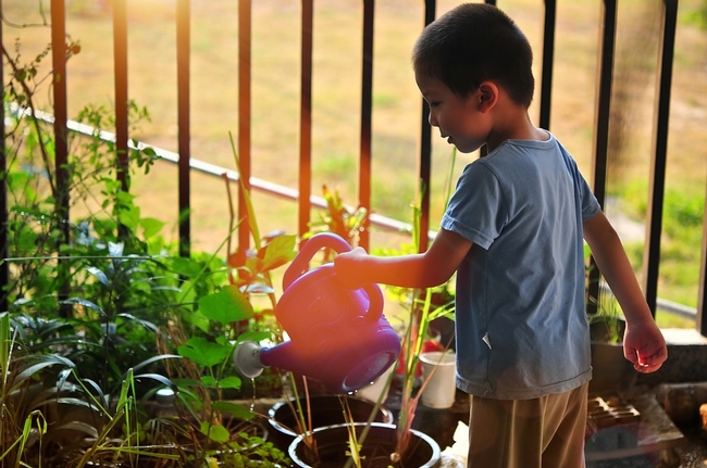 Little boy holding an orange watering can over some plants.