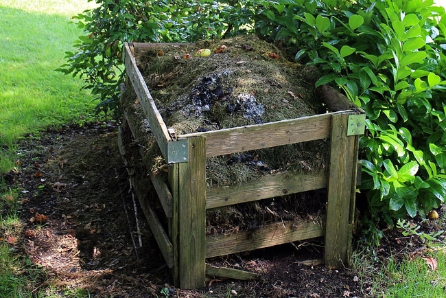 Square wooden bin with open sides houses decomposing compost.