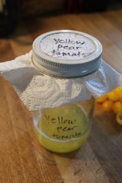Small mason jar with yellow colored water and a lid.