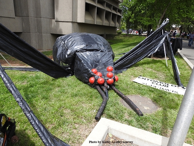 Larger-than-life decoration of a black widow spider made with plastic.